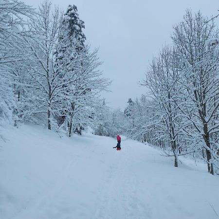 Dolce Vita Gerolstein - Luca Экстерьер фото